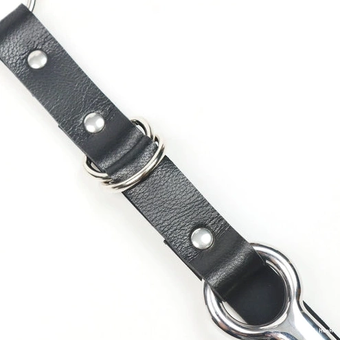 with 5853 Kinky EverydayUse Anal Collar and Leash Hook 0801